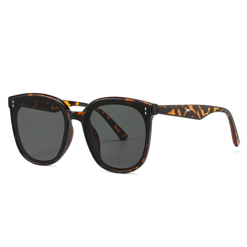 Men Uv Protection Sunglasses