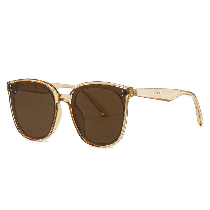 Men Uv Protection Sunglasses